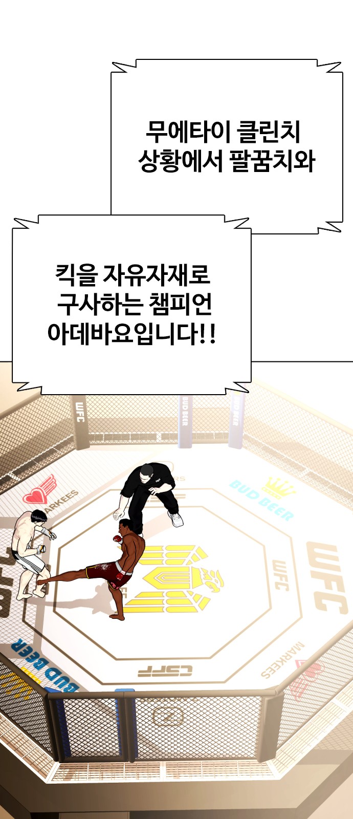 47 페이지