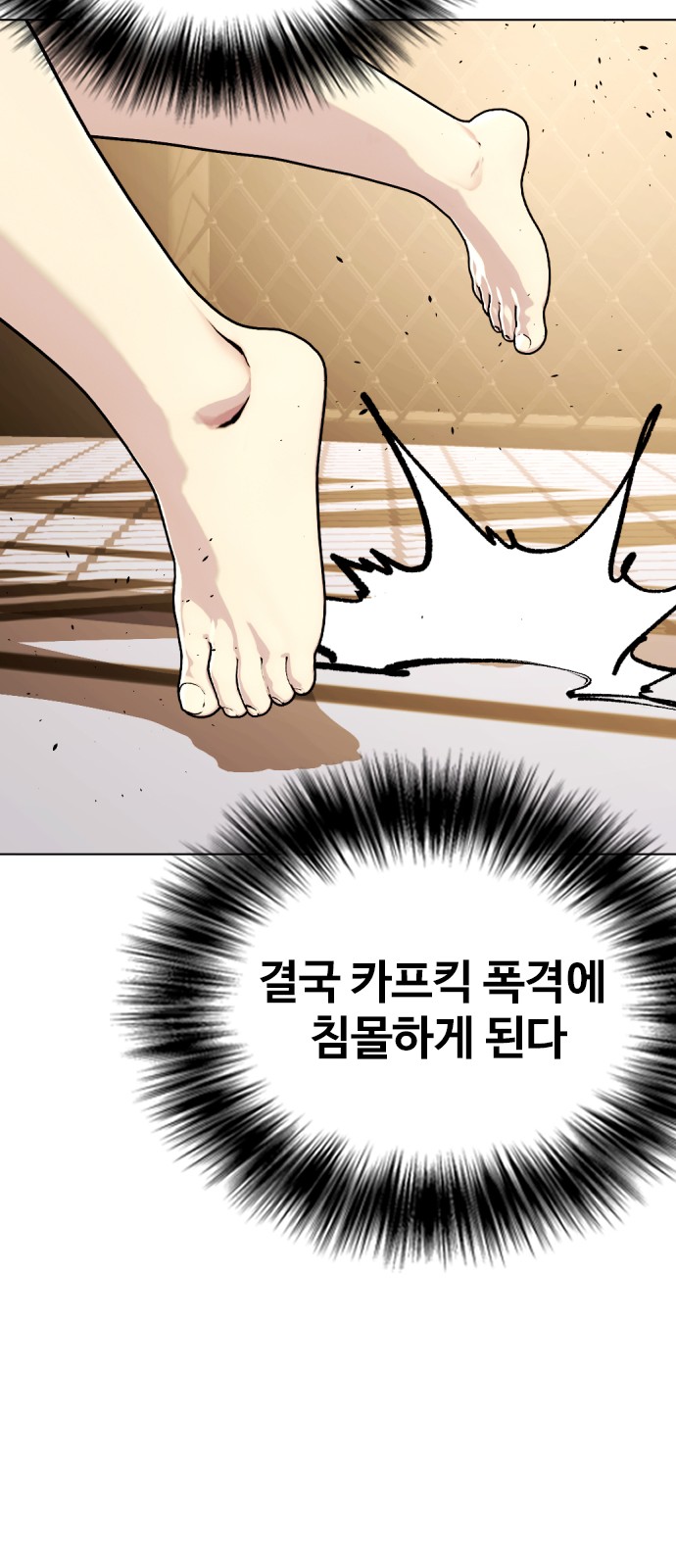 67 페이지