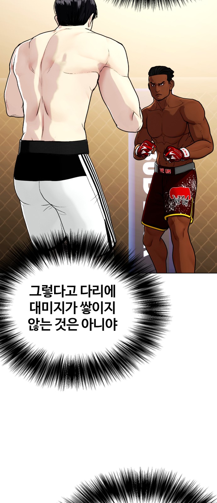 86 페이지