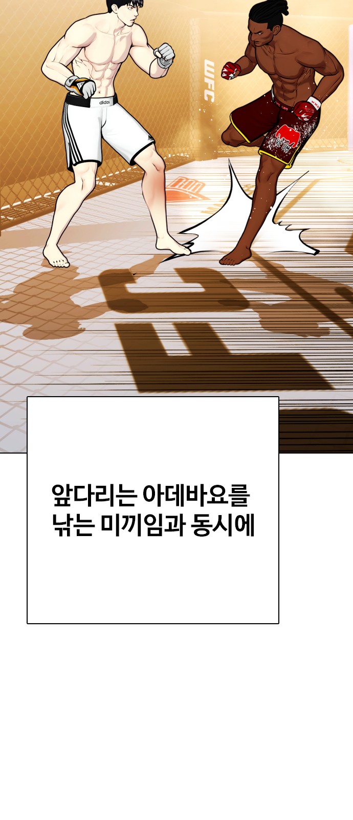 42 페이지