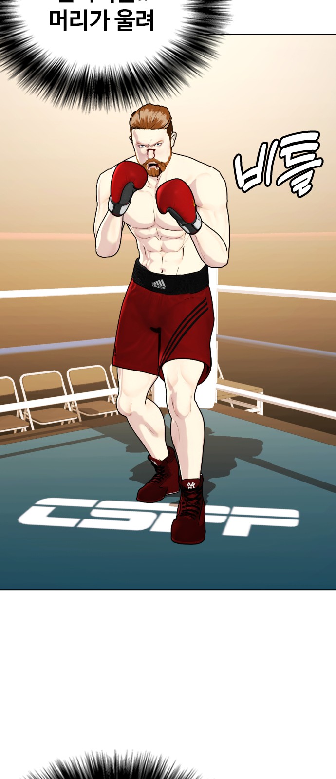 52 페이지