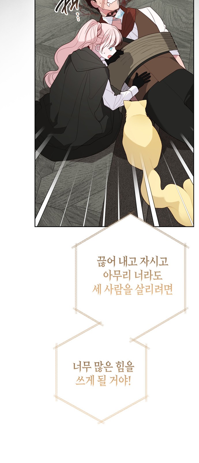 53 페이지