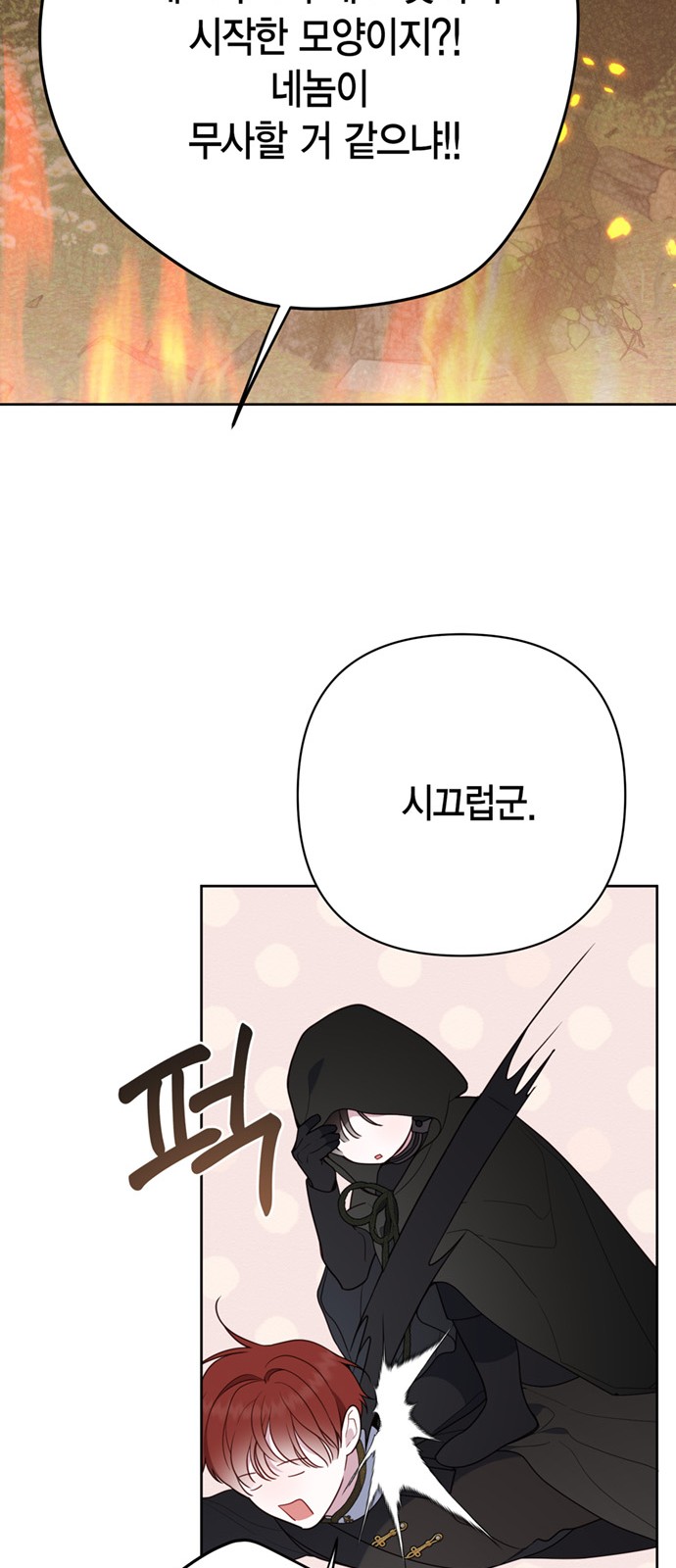 49 페이지