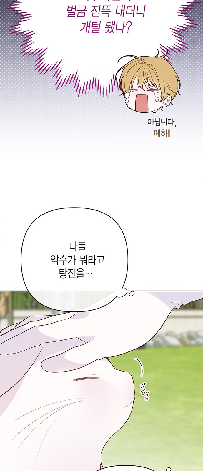 65 페이지