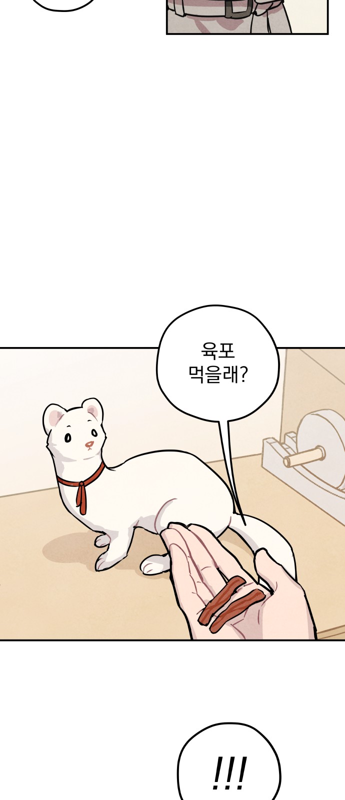 56 페이지