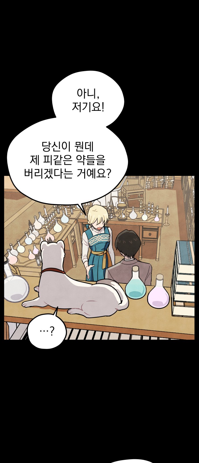 17 페이지