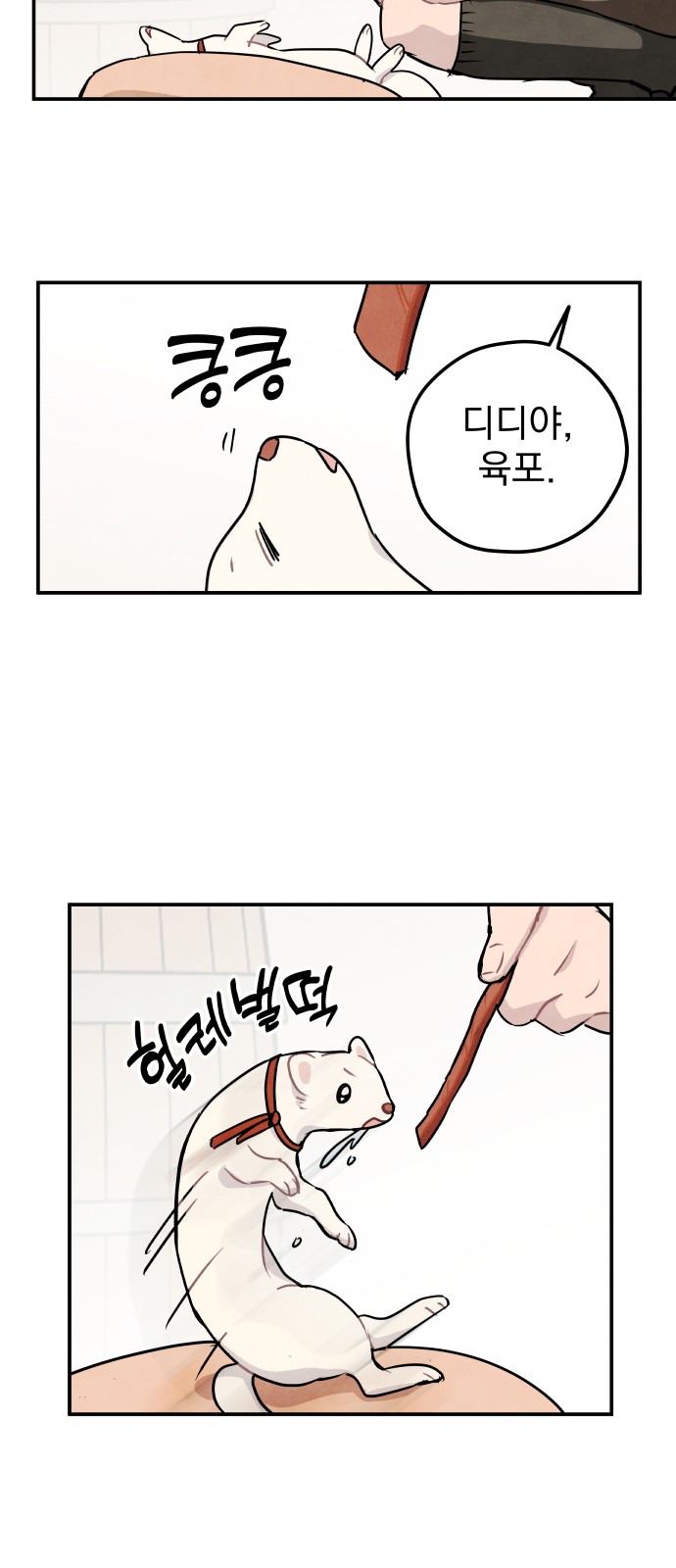 35 페이지