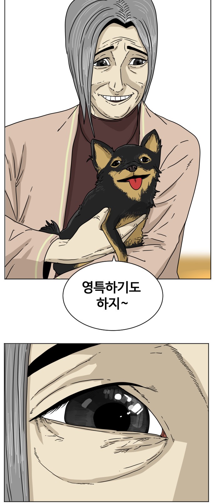 29 페이지