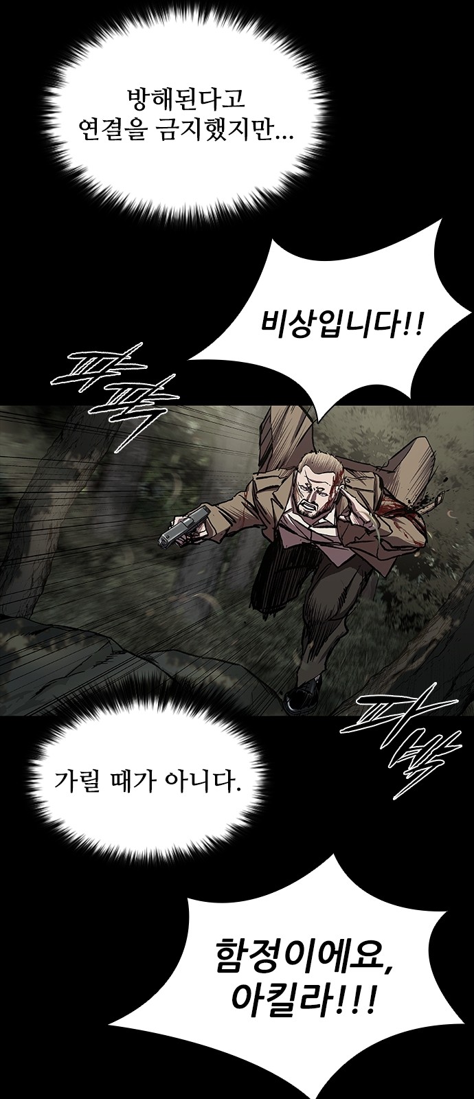 66 페이지