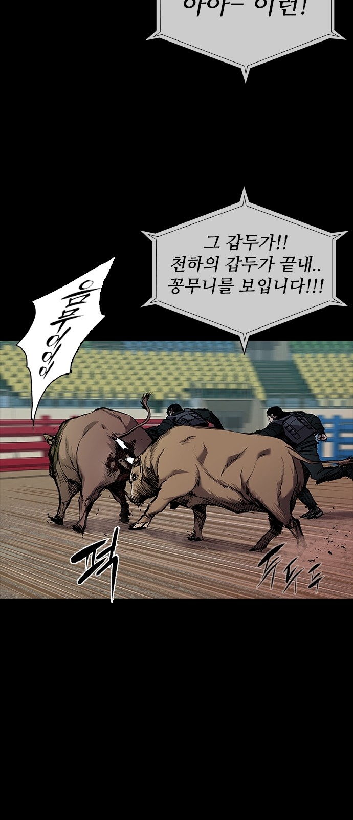 15 페이지