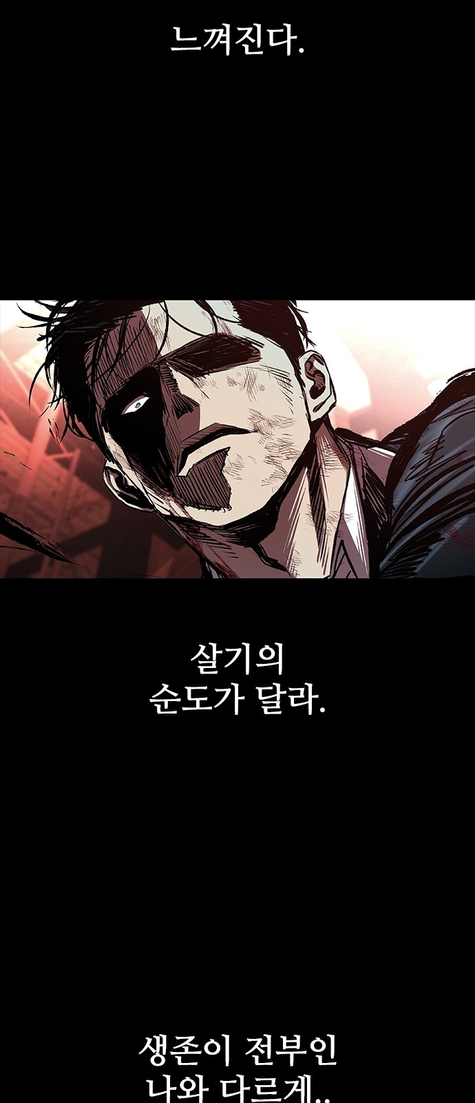 113 페이지