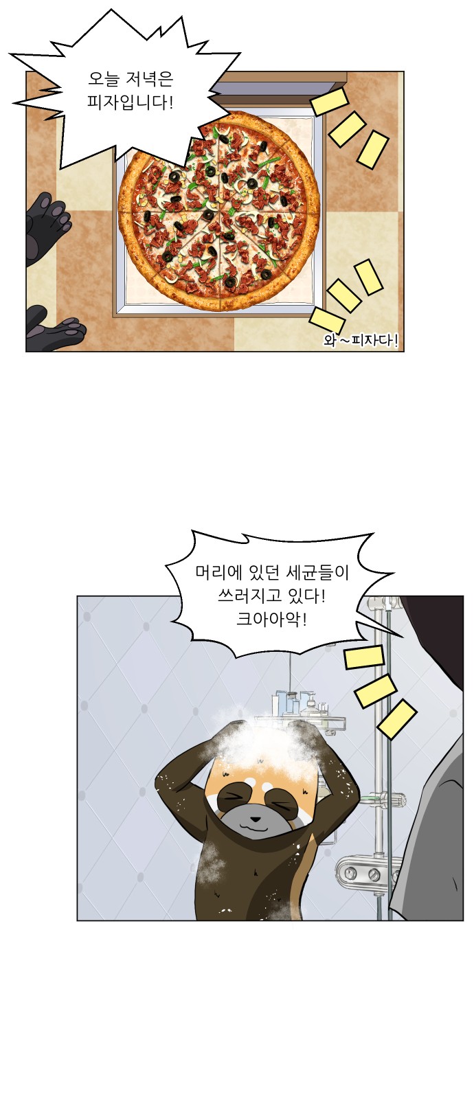 13 페이지