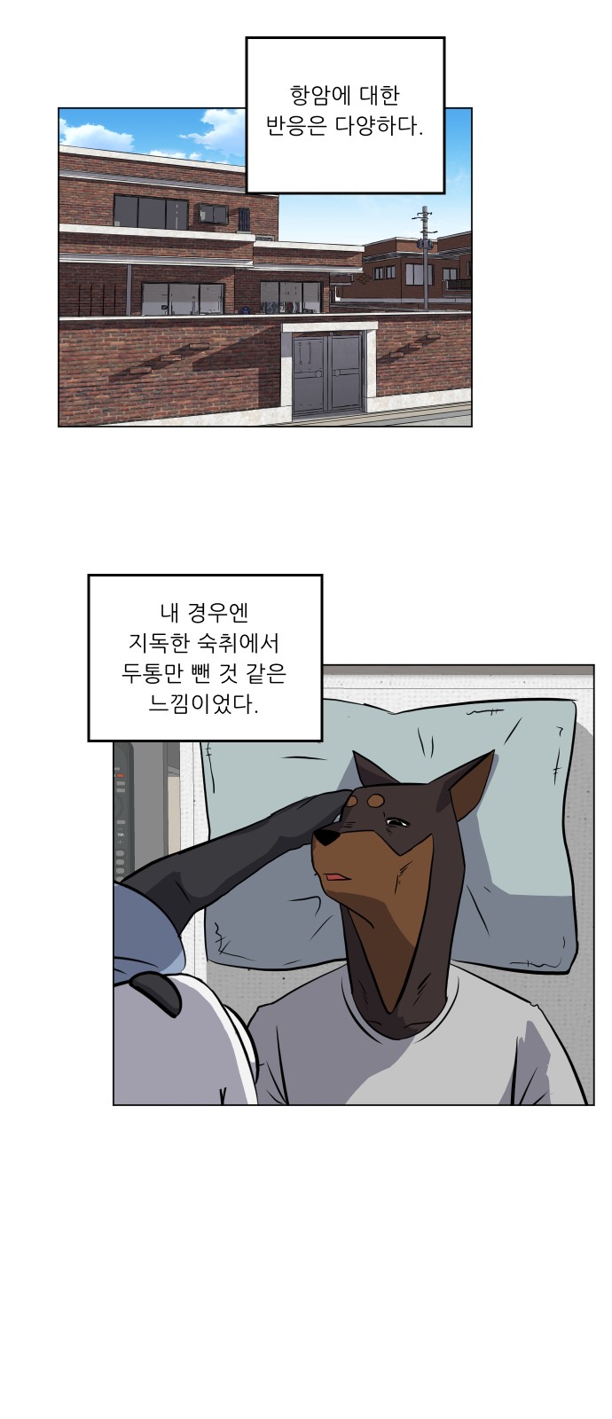 14 페이지