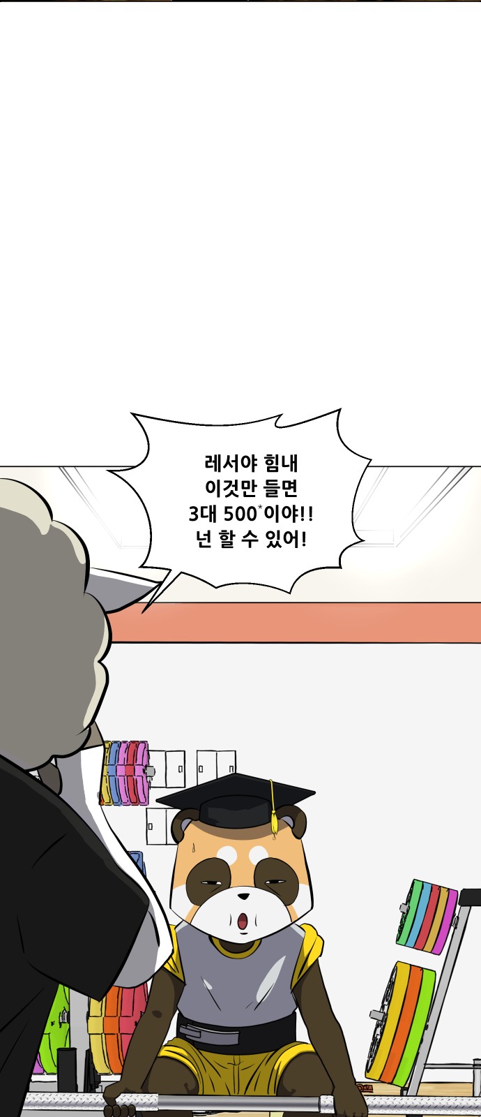 53 페이지