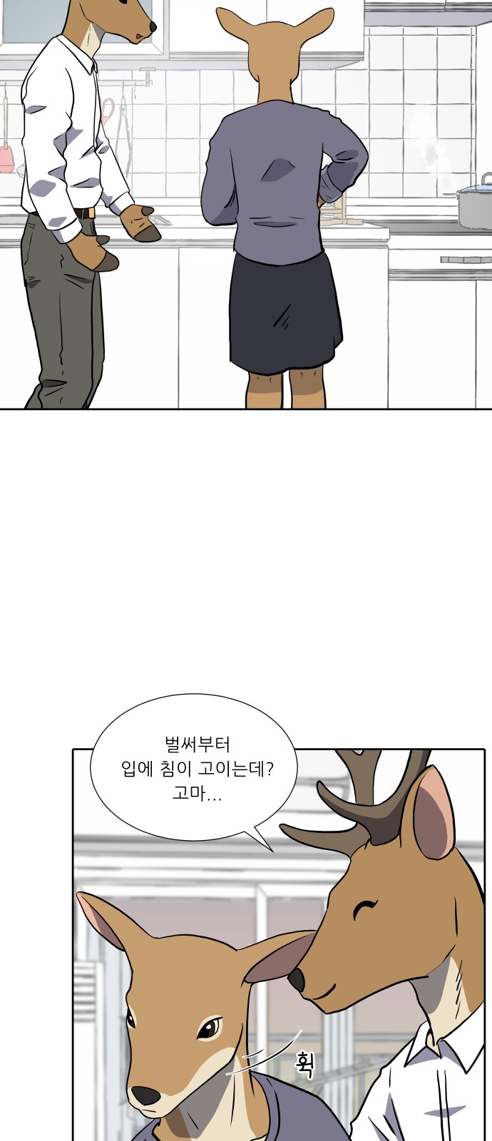 15 페이지