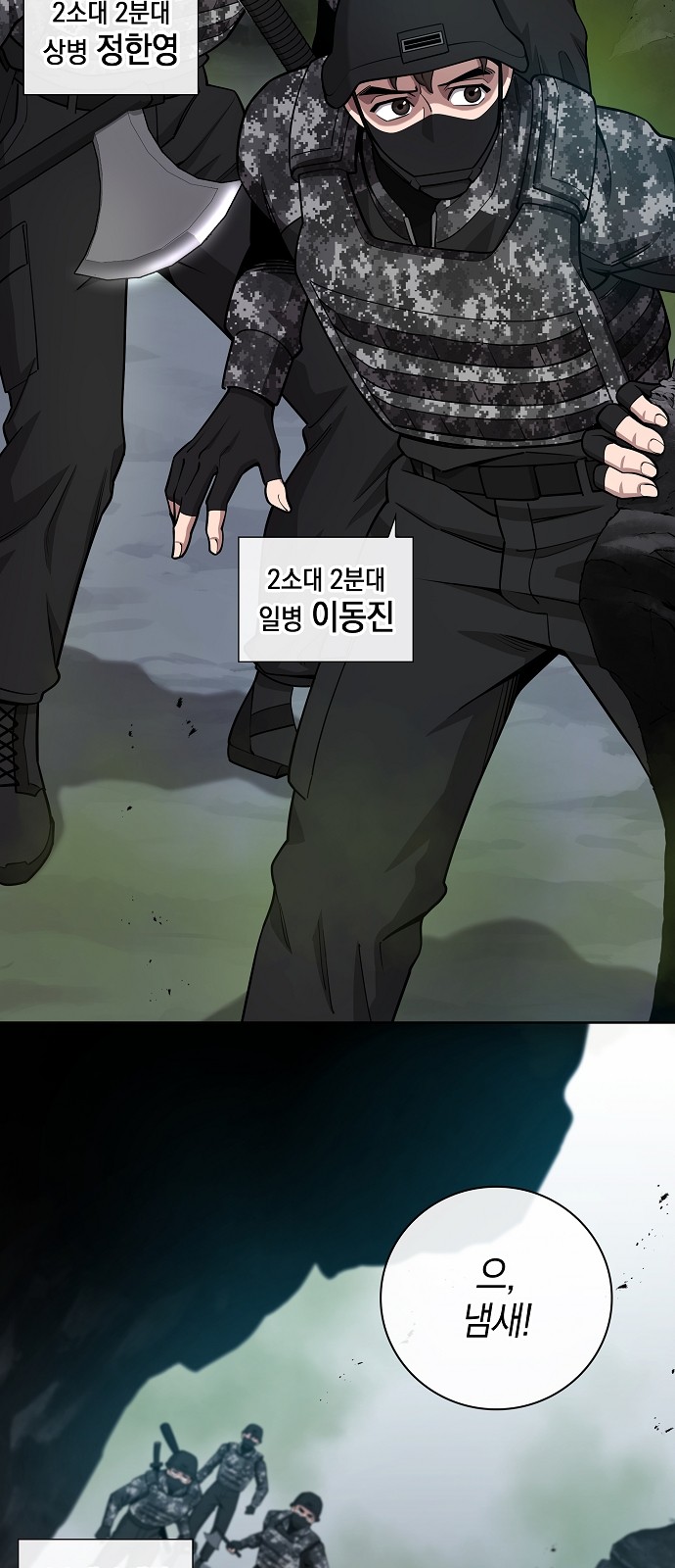66 페이지