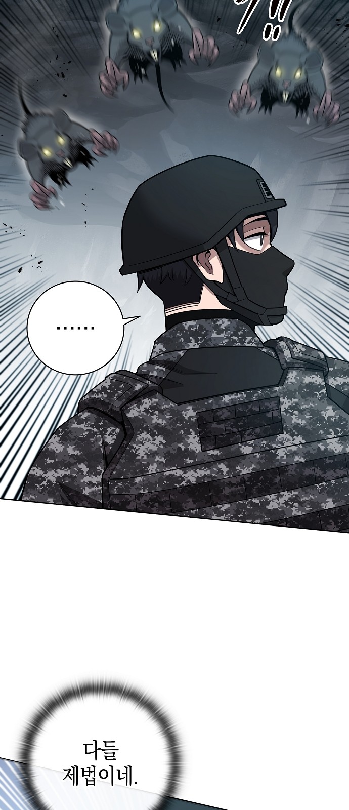 30 페이지
