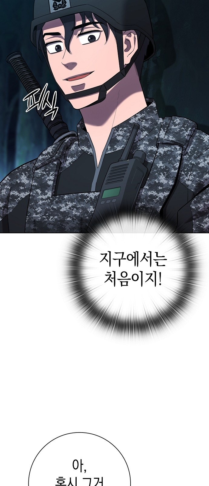 81 페이지