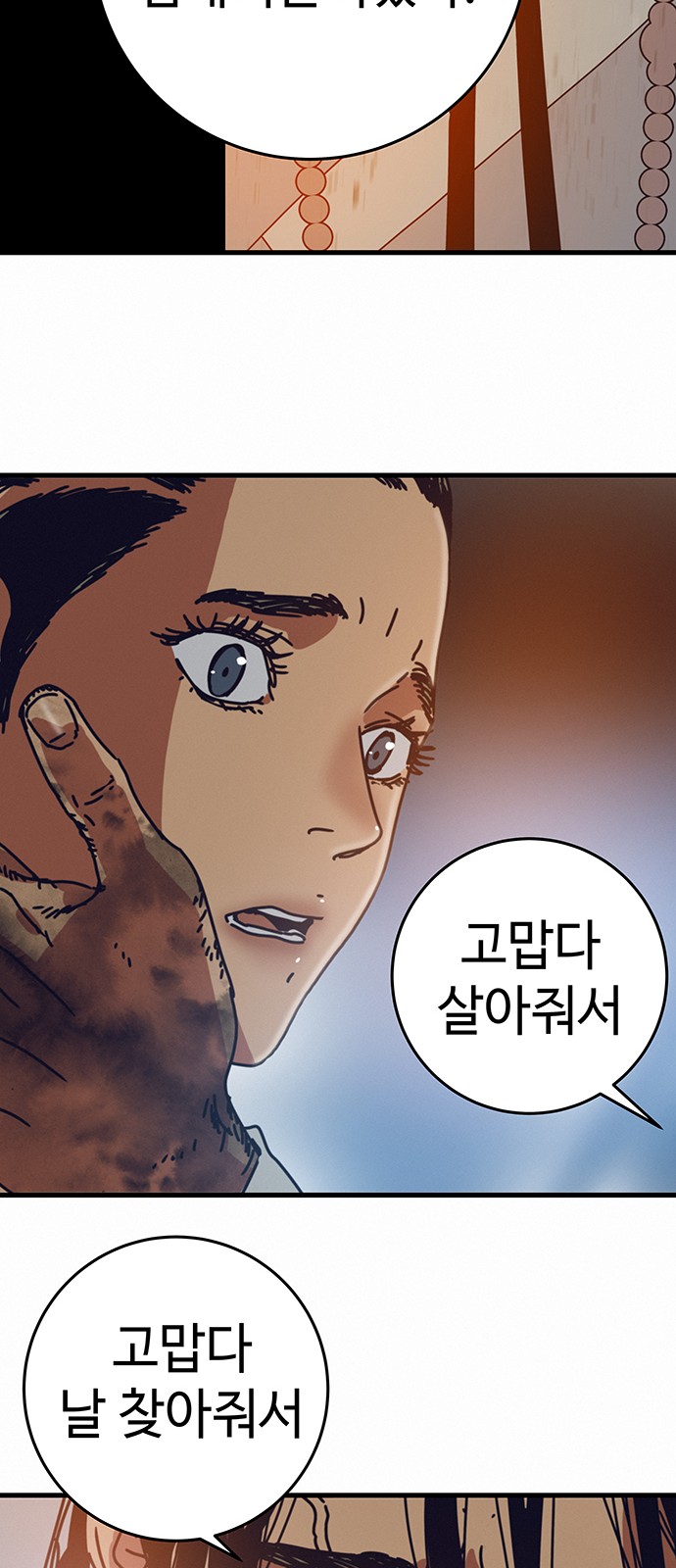 66 페이지
