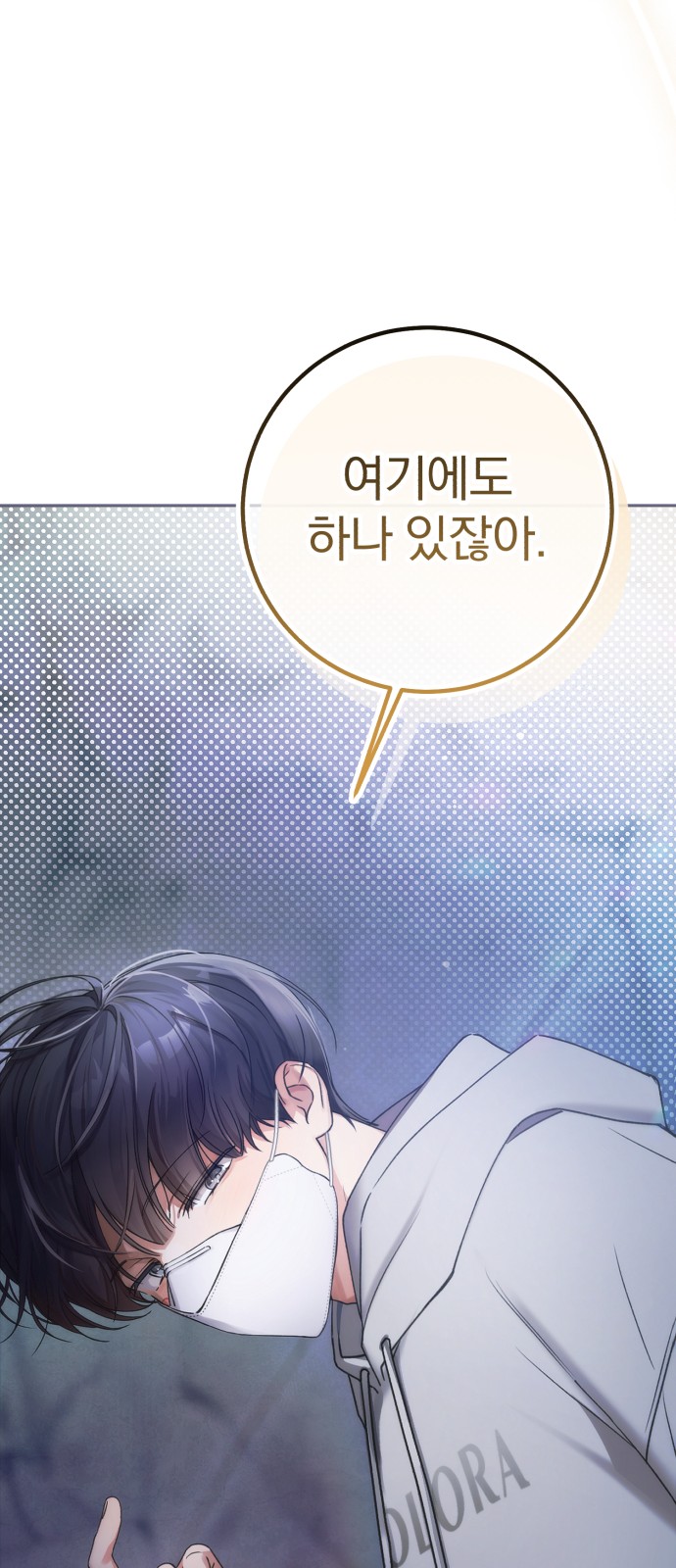 66 페이지