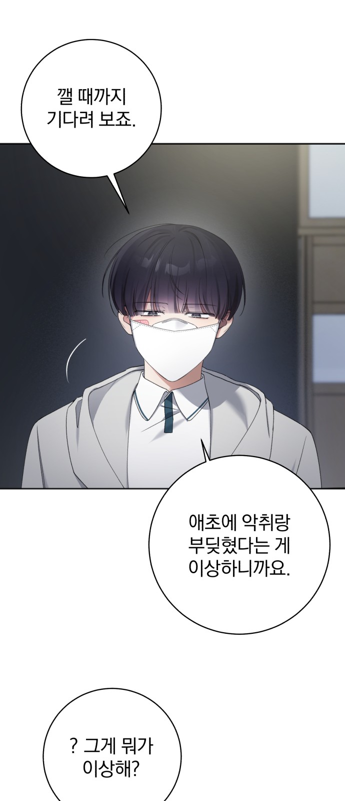 20 페이지