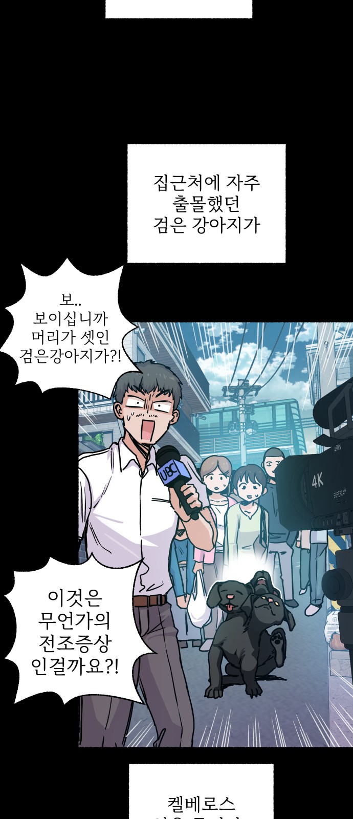36 페이지