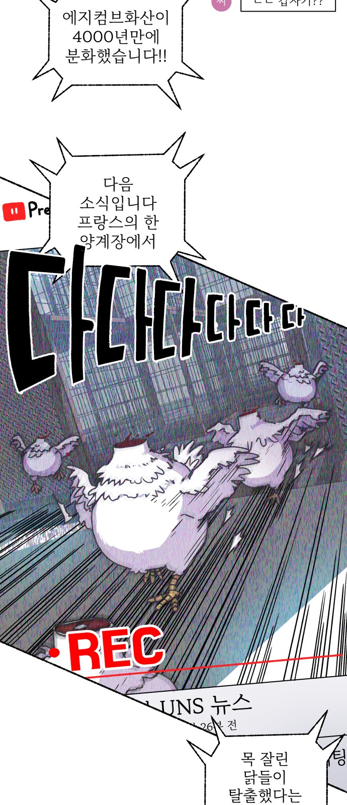 60 페이지