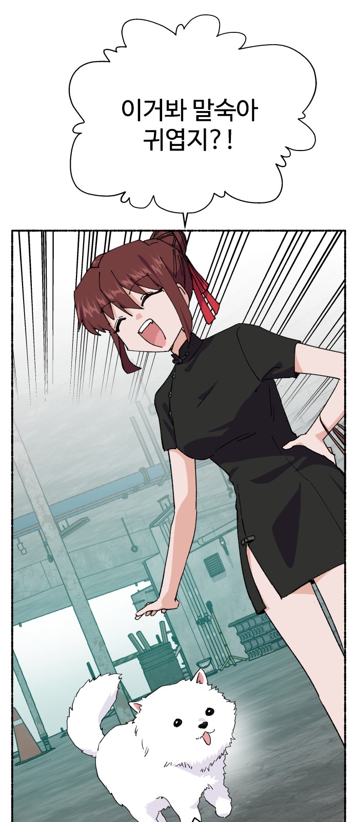 66 페이지