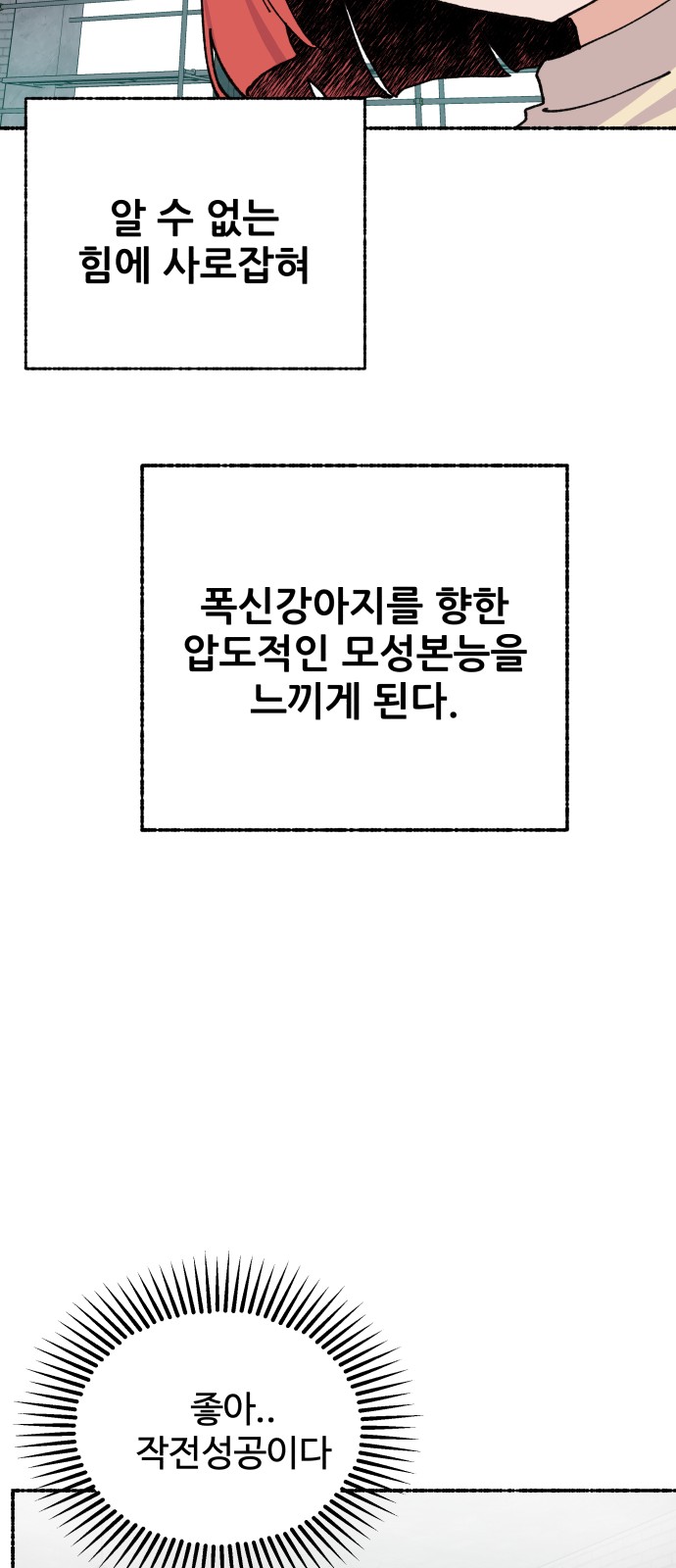 72 페이지