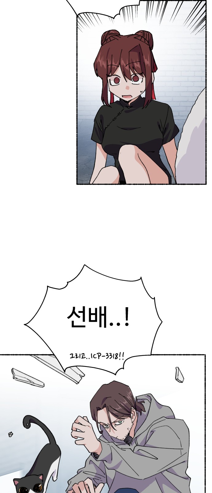 45 페이지