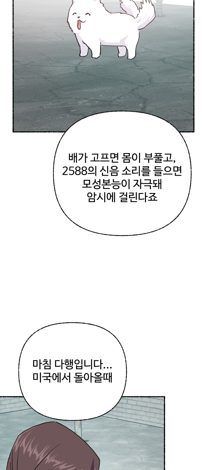 62 페이지