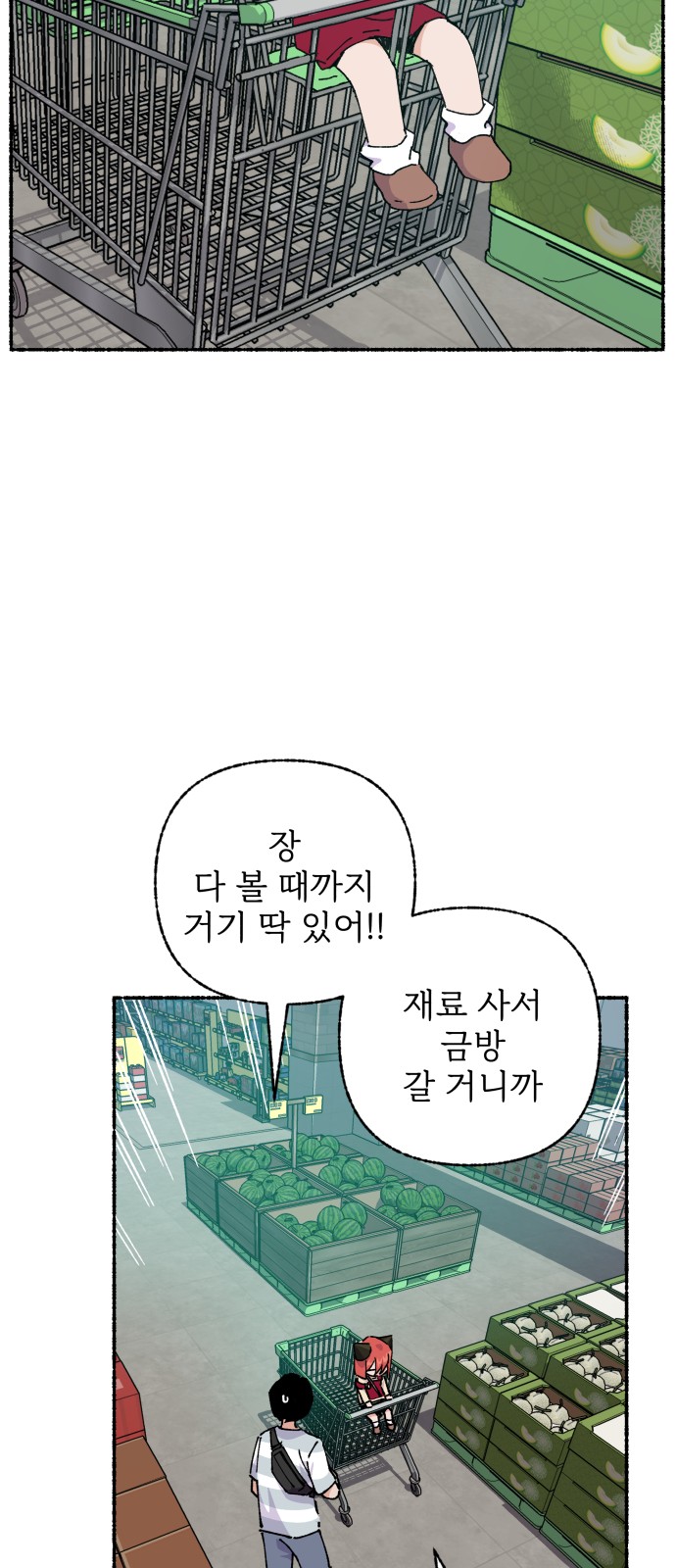 43 페이지