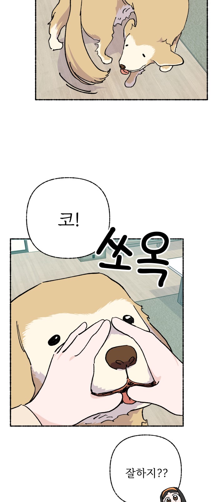 46 페이지