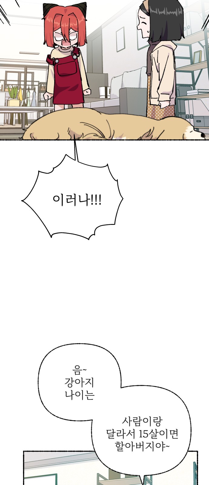 61 페이지