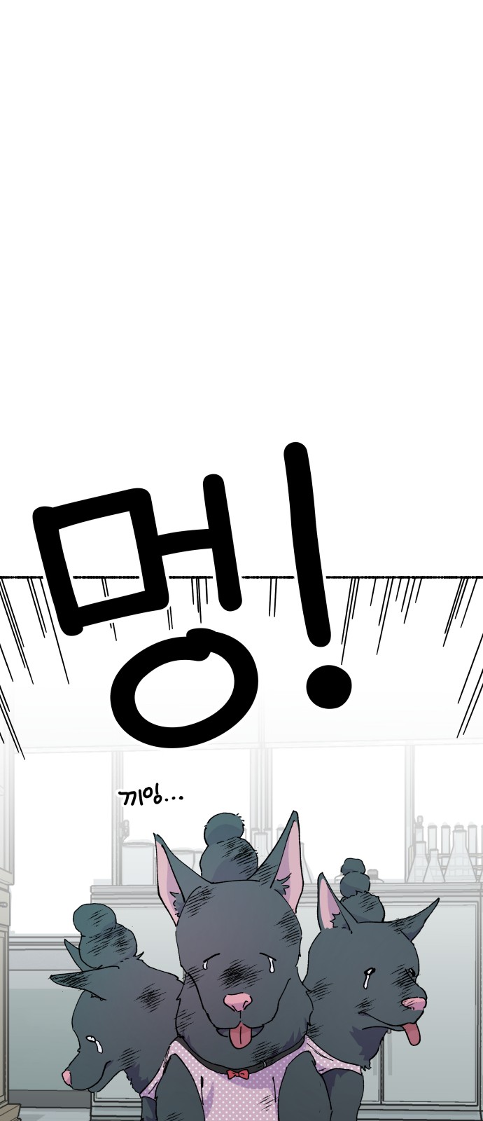 51 페이지