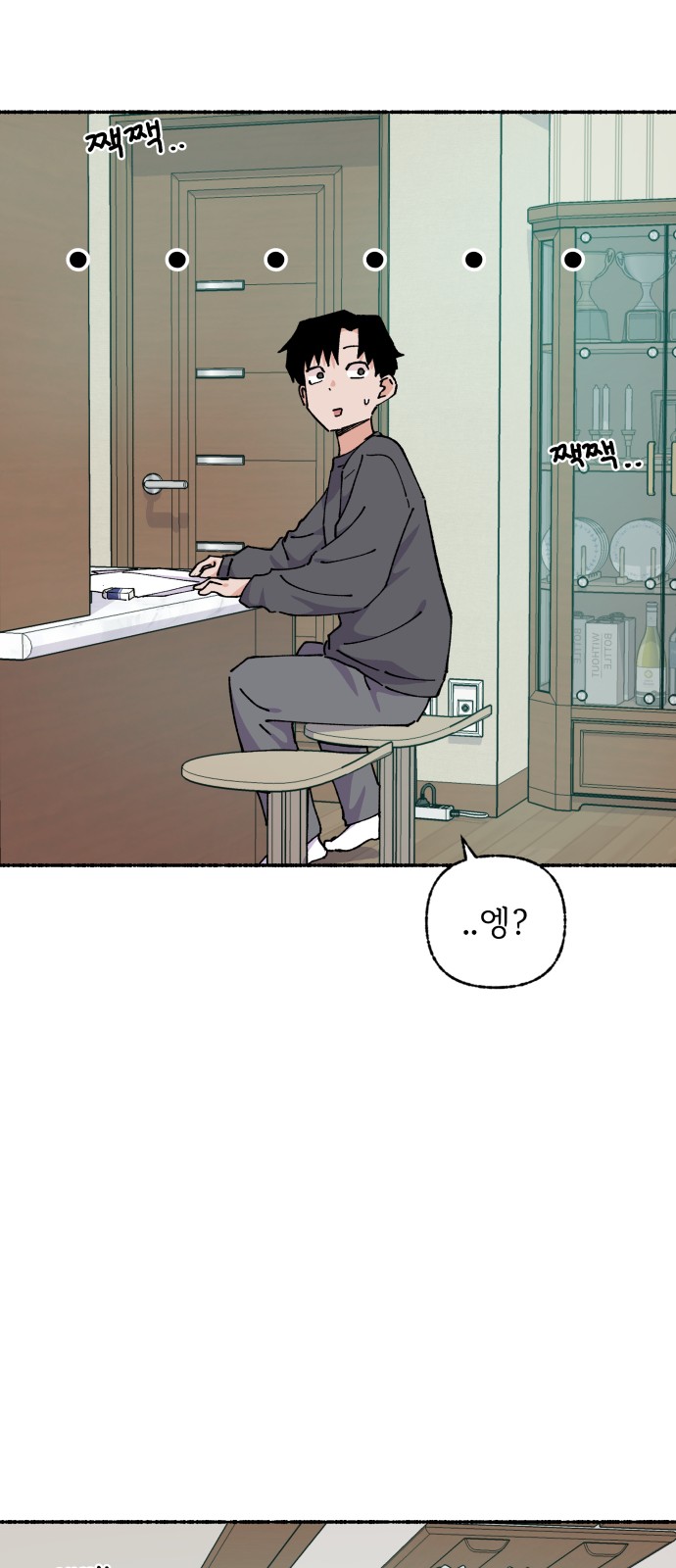 46 페이지