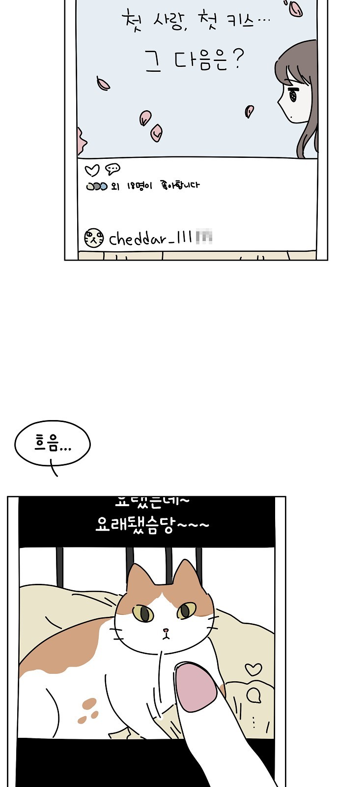 17 페이지
