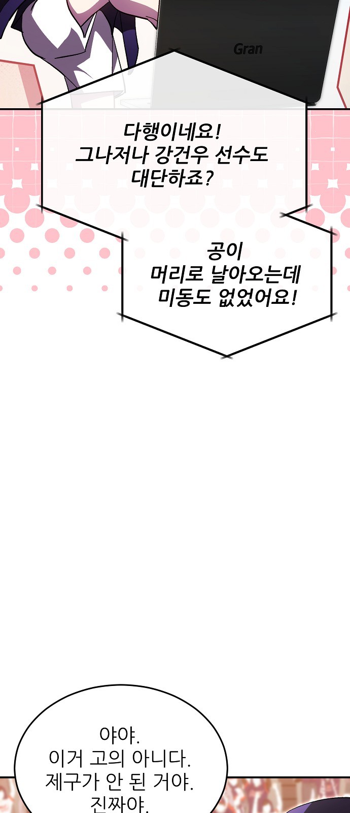 46 페이지