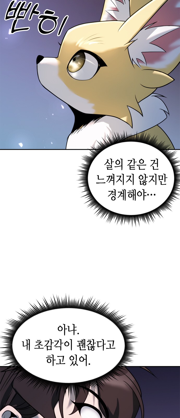 65 페이지