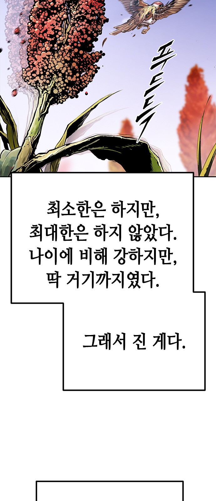 81 페이지
