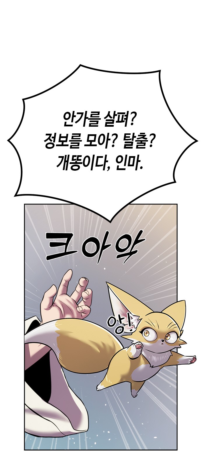 66 페이지
