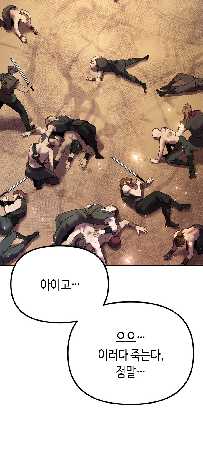 33 페이지