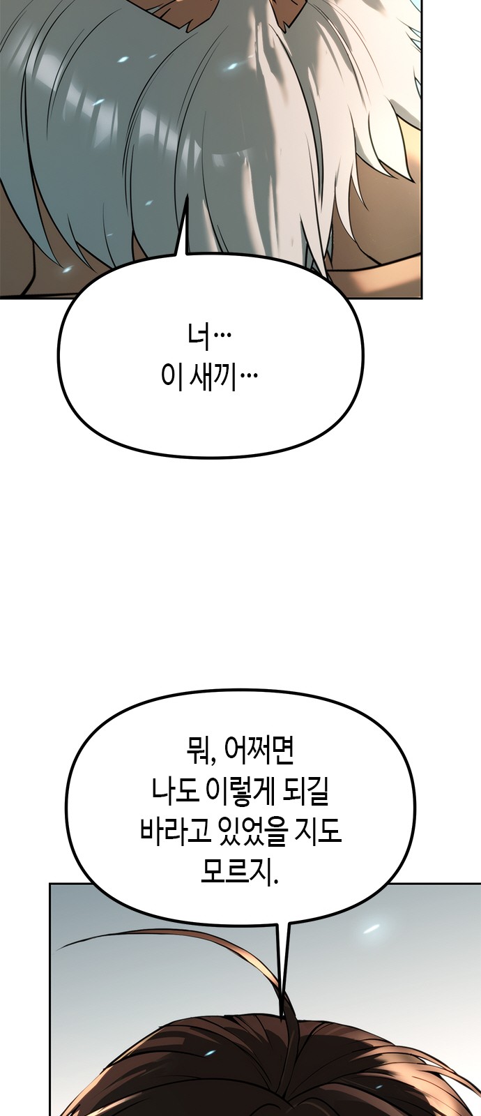 116 페이지