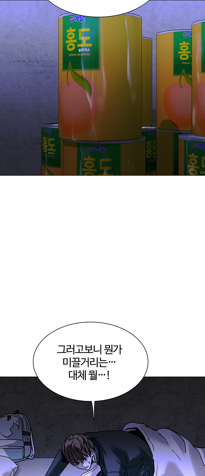 66 페이지