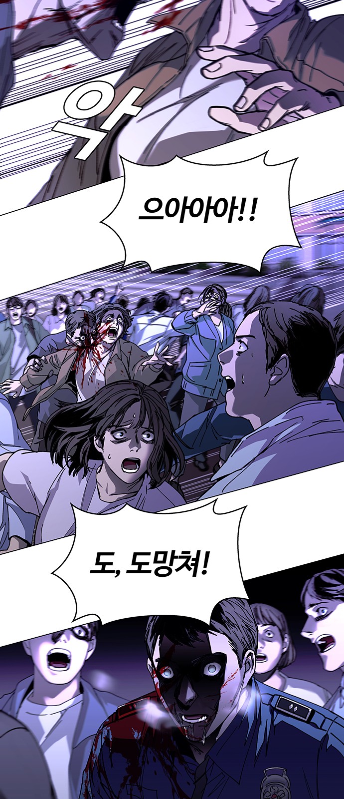 40 페이지