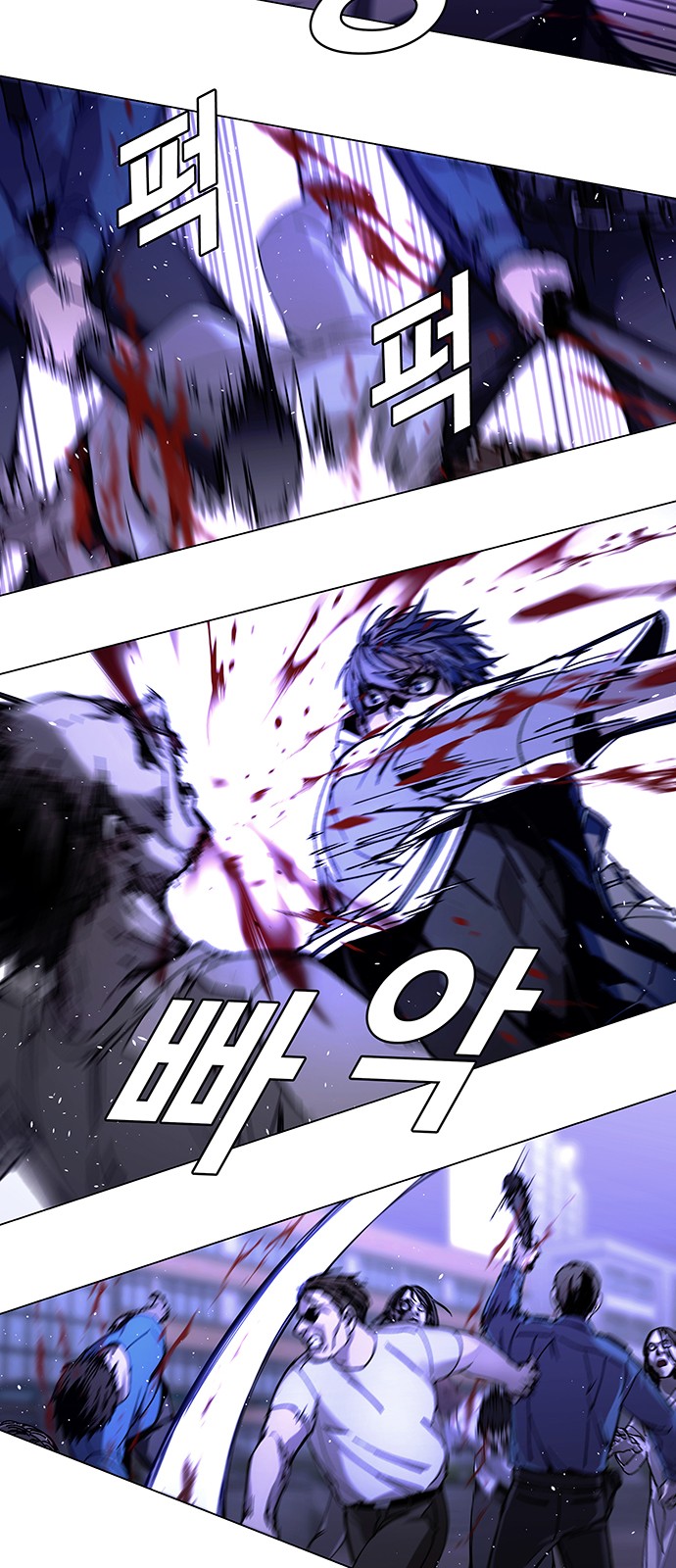 50 페이지