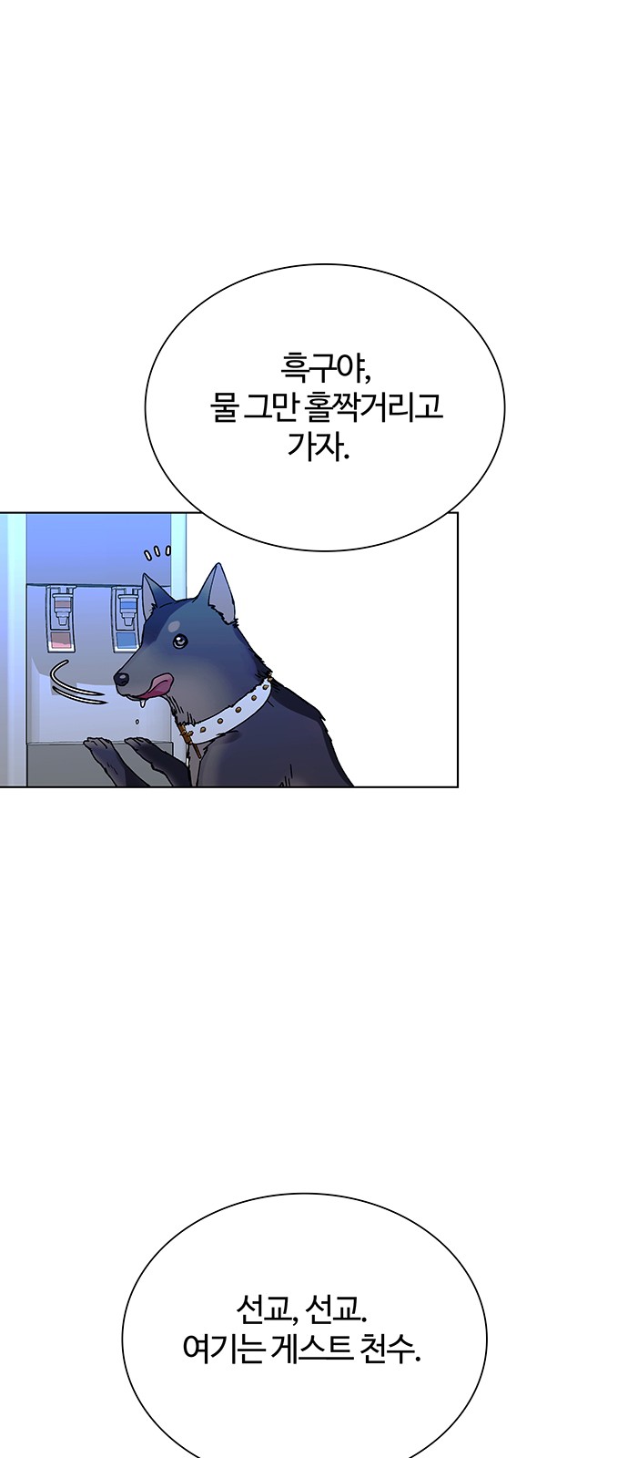29 페이지