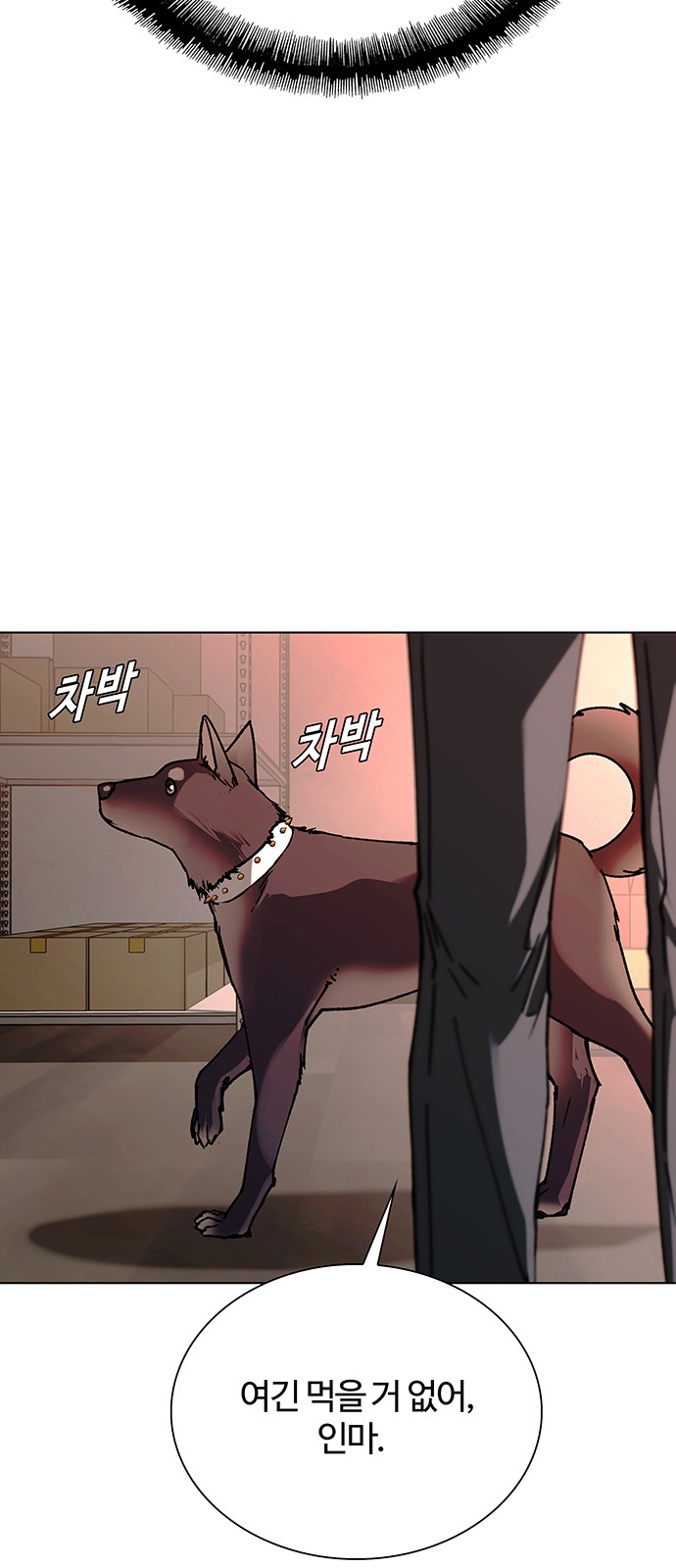 50 페이지