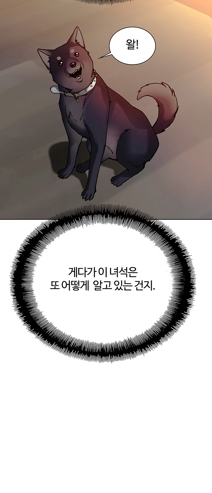 56 페이지