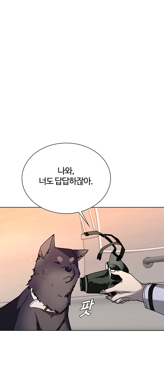 18 페이지